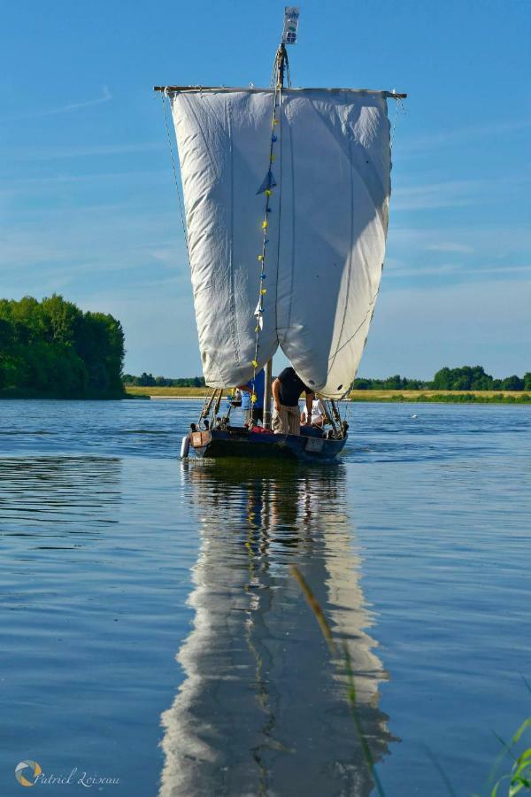Chalonnes-sur-Loire Les Orkys De Loire酒店 外观 照片